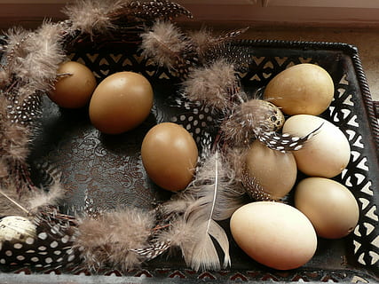 Ostern, Ostereier, Dekoration, Ei, Osternest, drinnen, High Angle View, Lebensmittel, keine Leute, Stillleben, gesundes Essen, Essen und Trinken, Urlaub, Feier, Wohlbefinden, Frische, Nahansicht, Container, Tabelle, Weihnachtsverzierung, Weihnachtsdekoration, Weihnachten, 2K, CC0, gemeinfrei, lizenzfrei