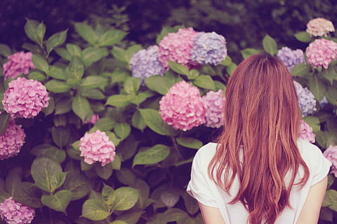 fotografie, femeie, cu care se confruntă, roz, flori petaled, flori, femei, natură, floare, în aer liber, etnie caucaziană, oameni, vară, zâmbitor, femele, o persoana, adult, tânăr adult, frumuseţe, frumos, bine dispus, fericire, stiluri de viață, primăvară, buchet, vedere din spate, doar femei, doar o femeie, doar adulți, par lung, oameni adevărați, coafura, păr, planta cu flori, plantă, frumusețe în natură, Activitatea de agrement, zi, permanent, de la talie in sus, să se concentreze asupra primelor elemente, femeie frumoasă, păr vopsit, păr de om, 1080P, CC0, domeniu public, fără drepturi de autor