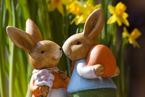 two, rabbit figurines, daffodil flower, easter bunny, easter, rabbit, bunny couple, osterhasen few, figures, pair, customs, custom, easter egg, colorful, figure, sound, painted, daffodils, green, yellow, orange, man, woman, lovers, ears, rabbit ears, love, easter figures, couple, cute, rabbit - animal, representation, animal representation, no people, holiday, art and craft, mammal, animal, celebration, nature, egg, focus on foreground, creativity, close-up, toy, decoration, springtime, 4K, CC0, public domain, royalty free