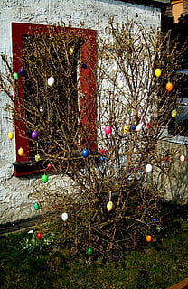 bosc de Pasqua, Pasqua, costums, decoracions de pasqua, decoració de pasqua, ous de Pasqua, color, arbre, celebració, planta, decoració, Nadal, cap gent, decoració de Nadal, naturalesa, arbre nu, equips d’il·luminació, branca, festa, il·luminat, a l'aire lliure, arbre de Nadal, llums de Nadal, flor, multicolor, adorn de Nadal, 2K, CC0, domini públic, lliure de regalies