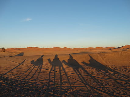 morocco, desert, sand, camel, travel, sky, land, climate, arid climate, landscape, shadow, scenics - nature, sand dune, group of people, environment, nature, sunlight, day, remote, domestic animals, real people, clear sky, outdoors, focus on shadow, riding, 2K, CC0, public domain, royalty free
