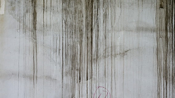 vicino, foto, astratto, schizzo, avvicinamento, struttura, sfondo, parete, dipingere, sfondi e trame, trame di sfondi, sfondi strutturati, design, grunge, anziano, grungy, macchiato, sporco, giorno, nessuno, natura, acqua, modello, legno - materiale, sfondi, fotogramma intero, strutturato, caratteristica della parete, venatura del legno, vecchio, legna, struttura costruita, tavola, intemperie, in casa, architettura, Materiale, pavimentazione, grigio, effetto strutturato, 5K, CC0, dominio pubblico, privo di copyright