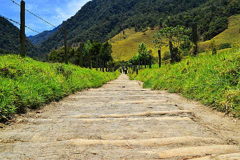 perspectivă, infinit, verde, vale, Cocora, munţi, păduri, cale, mers pe jos, drumul, mediu rural, natură, Munte, deal, rural, în aer liber, peisaj, cărare, agricultură, drum, plantă, direcţie, calea de urmat, copac, creştere, zi, Culoarea verde, teren, frumusețe în natură, diminuarea perspectivei, liniște, iarbă, scenice - natura, o scenă liniștită, oameni adevărați, mers, 5K, CC0, domeniu public, fără drepturi de autor