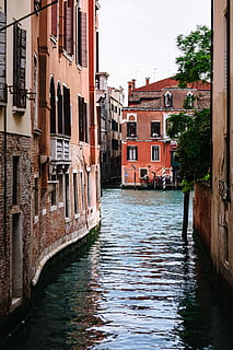 trip, venice, Venice, Italy, vacations, architecture, buildings, old town, Europe, travel, italian, Italy, veneto, venezia, mediterranean, venive, old houses, tourist, canal, venice - Italy, gondola, water, house, urban Scene, nautical Vessel, building Exterior, italian Culture, famous Place, old, tourism, built Structure, window, travel Destinations, outdoors, cityscape, flood, waterfront, building, residential district, nature, day, no people, transportation, city, reflection, sky, rippled, 4K