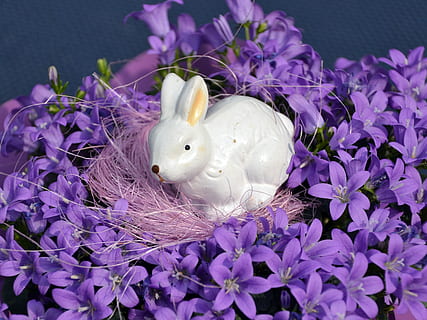 påske, hare, figur, Påske hare, forår, dekorative, blomstre, flor, lilla, blomstrende plante, plante, dyr, blomst, tæt på, dyr repræsentation, repræsentation, ingen mennesker, natur, dyre temaer, sårbarhed, skrøbelighed, friskhed, indendørs, skønhed i naturen, hvid farve, høj vinkel visning, fugl, 2K, CC0, offentligt domæne, royaltyfrie