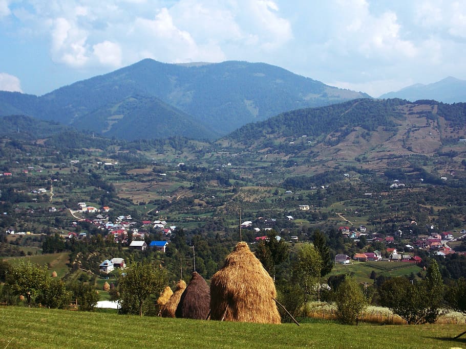 palets de fenc, paisatge, muntanyes, núvol, blau, cel, romania, sol, vegetació, ai, viatjar, muntanya, bestiar, Serra, pasturatge, agricultura, animals domèstics, medi ambient, escenics - natura, bellesa a la natura, planta, naturalesa, núvol - cel, camp, dia, escena tranquil·la, tranquil·litat, terra, cap gent, arbre, arquitectura, escena rural, a l'aire lliure, 4K