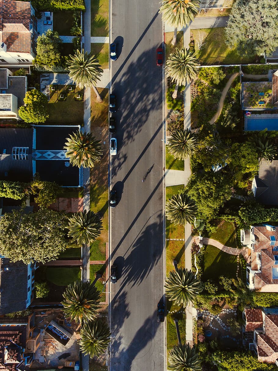 ocell, vista d'ulls, carretera, aèria, foto, estat, durant el dia, arbre, stree, ombra, jardí, pati, urbà, vista aèria, sostre, terrat, tret de dalt, santa monica, droneshot, fantasma, drone, los angele, planta, exterior de l'edifici, estructura construïda, naturalesa, arquitectura, cap gent, clima tropical, dia, Palmera, edifici, llum solar, creixement, ciutat, a l'aire lliure, carrer, vista d’angle alt, reflexió, casa, 2K