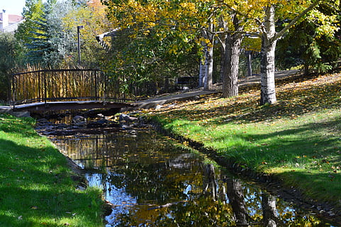 strøm, bro, træer, parkere, græs, natur, landskab, vand, naturskøn, sti, Saskatchewan, Canada, afspejling, træ, plante, vækst, ro, ingen mennesker, grøn farve, skønhed i naturen, Skov, dag, træstamme, jord, rolig scene, bagagerum, downloading, udendørs, scenics - natur, kanal, flyder, flydende vand, 5K, CC0, offentligt domæne, royaltyfrie