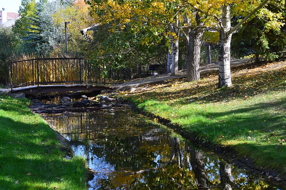 corrent, pont, arbres, parc, herba, naturalesa, paisatge, aigua, escènic, Camí, saskatchewan, Canadà, reflexió, arbre, planta, creixement, tranquil·litat, cap gent, color verd, bellesa a la natura, bosc, dia, tronc de l'arbre, terra, escena tranquil·la, tronc, descàrrega, a l'aire lliure, escenics - natura, canal, que flueix, aigua que flueix, 5K