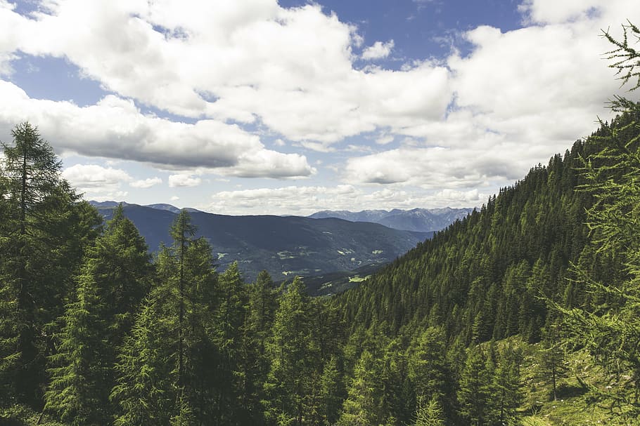 més, destinació, vista, punt de vista, muntanya, oci, altiplà, llocs d'interès, turisme, festa, senderisme, alpinisme, naturalesa, parc natural, bosc, camps, paisatge, rock, vista llunyana, previsió, muntanyes, arbres, Tirol del sud, alpí, dolomites, Itàlia, nord d'Itàlia, arbre, pi, dia, bellesa a la natura, tranquil·litat, cap gent, escenics, planta, núvol - cel, escenics - natura, cel, escena tranquil·la, color verd, escena no urbana, medi ambient, creixement, terra, idíl·lic, arbre de coníferes, a l'aire lliure, bosc de pi, 5K