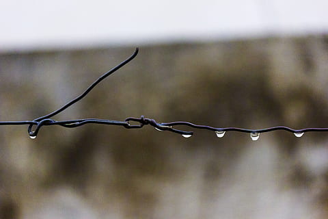 sârmă, ghimpat, ploaie, picături, umed, ascuțit, gard, barieră, plouă, metal, sigur, Securitate, limite, barbwire, împrejmuire, protecţie, Siguranță, să se concentreze asupra primelor elemente, a închide, nici o persoana, zi, sârmă ghimpată, cădere brusca, natură, în aer liber, apă, picătură de ploaie, 1080P, CC0, domeniu public, fără drepturi de autor