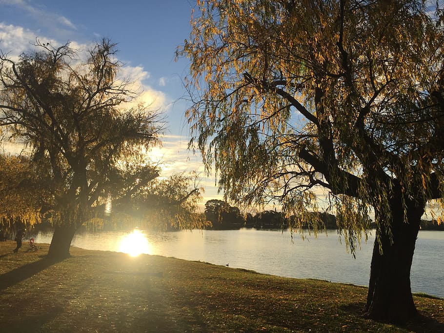 Riverside, apus de soare, copaci, reflecţie, copac, plantă, apă, natură, cer, frumusețe în natură, o scenă liniștită, lumina soarelui, soare, liniște, nici o persoana, lac, scenice - natura, ramură, zi, trunchi de copac, arbore gol, trompă, creştere, în aer liber, 2K