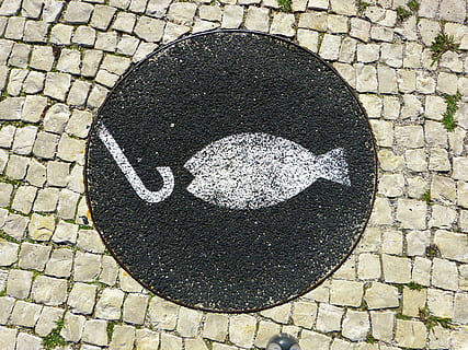 fisk, krog logo, fiskekrog, mosaik, krog, Engel, fangst, cirkel, geometrisk form, gade, brosten, høj vinkel visning, dag, form, ingen mennesker, sti, direkte over, by, udendørs, vej, sten-, meddelelse, sort farve, skilt, tekstureret, mønster, mandehul, 4K, CC0, offentligt domæne, royaltyfrie
