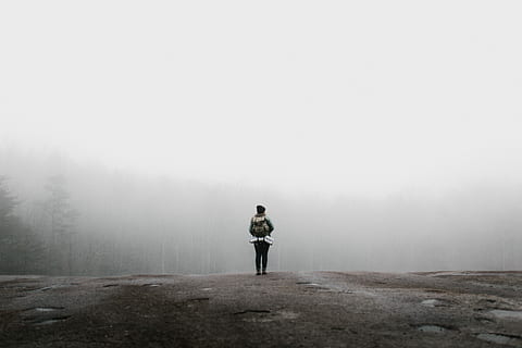 person, standing, ledge, covered, fog, nature, men, outdoors, time Of Day, adult, one Person, mist, people, sport, image Technique, image Type, color Image, day, copy Space, adults Only, adventure, hazy, rear view, full length, solitude, cold temperature, leisure activity, winter, beauty in nature, land, environment, tree, 5K, CC0, public domain, royalty free