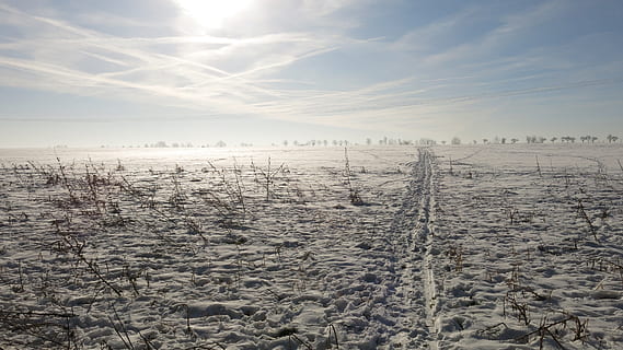Spur, kalt, winterlich, Himmel Muster, hellblau, vom Winde verweht, kalte Temperatur, Winter, Schnee, Szenen - Natur, Himmel, Ruhe, Schönheit in der Natur, Landschaft, Umgebung, ruhige Szene, gefroren, Natur, Land, Nicht-städtische Szene, keine Leute, wolke - himmel, Tag, Pflanze, idyllisch, Eis, draußen, 4K, CC0, gemeinfrei, lizenzfrei