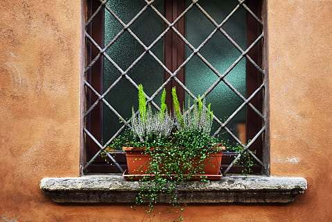 Grün, Blattpflanzen, braun, Topf, Fenster, Blatt Pflanze, Fenster Wandregal, Fensterbrett, Fensterbox, Blume, Pflanze, Topfpflanze, Wand, die Architektur, gebaute Struktur, Gebäudehülle, Wandbau - Funktion, Wachstum, Natur, keine Leute, Tag, draußen, blühende Pflanze, grüne Farbe, Gebäude, Metall, Sicherheit, Blumentopf, 5K, CC0, gemeinfrei, lizenzfrei