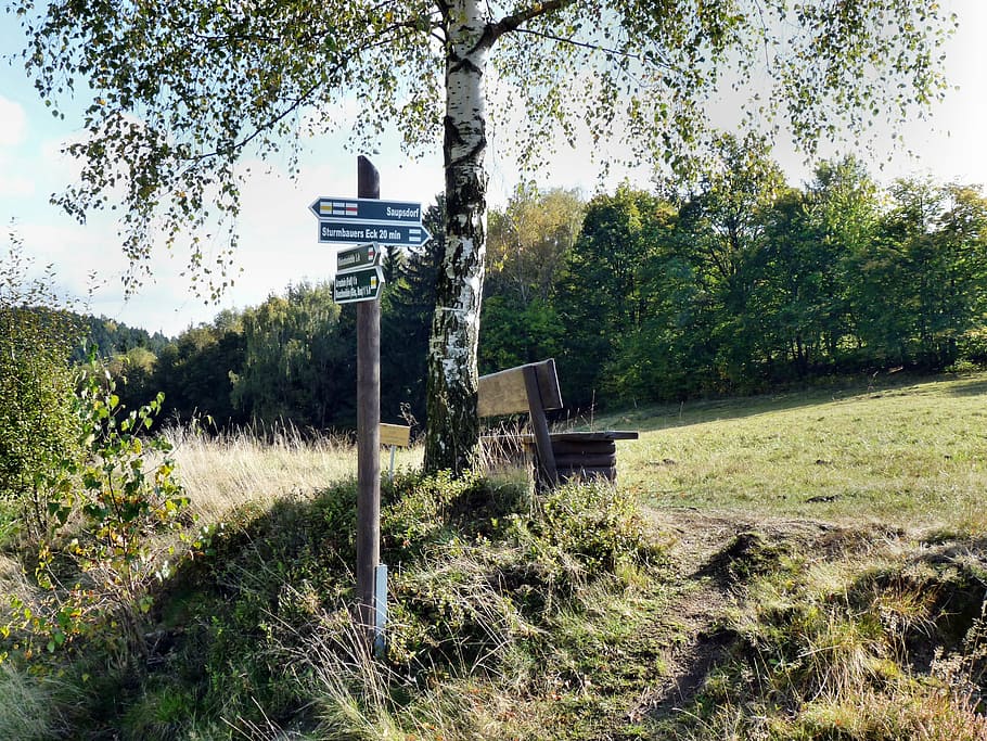 væk, Information, træ, vejviser, plante, græs, vækst, natur, jord, dag, ingen mennesker, Mark, grøn farve, sollys, landskab, ro, skønhed i naturen, himmel, arkitektur, bygget struktur, udendørs, rolig scene, træ - materiale, 2K