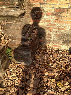 Schatten, Schattenmann, fallen, Herbst, Herbstblätter, Nur Männer, Tag, Nur ein Mann, draußen, Menschen, eine Person, Natur, Blatt, Wandbau - Funktion, Pflanzenteil, menschliche Darstellung, keine Leute, Sonnenlicht, Wand, Kreativität, Kunst und Handwerk, männliche Ähnlichkeit, die Architektur, alt, Darstellung, Backstein, verwittert, gebaute Struktur, Veränderung, Blätter, 2K, CC0, gemeinfrei, lizenzfrei