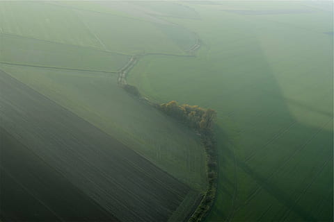be pavadinimo, kraštovaizdį, fotografija, paukštis, s, akis, vaizdas, žalias, žolė, laukai, medžiai, pobūdį, nėra žmonių, Žemdirbystė, dieną, lauke, aplinką, vaizdas iš oro, žemės, žalia spalva, vaizdai - gamta, kaimo scenoje, kelias, grožis gamtoje, ramybė, ne miesto scenoje, rūkas, ramioje scenoje, vanduo, tarša, 1080P, CC0, Viešasis domenas, nemokamai