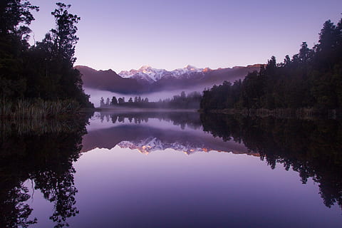 Foto, See, Bäume, Morgennebel, Morgen, Nebel, Lake Matheson, lila, Reflexion, Baum, Natur, Landschaft, Wasser, szenen, Wald, draußen, ruhige Szene, Himmel, Schönheit in der Natur, Berg, keine Leute, Farbbild, Sommer-, Ruhe, Pflanze, Szenen - Natur, Ufergegend, idyllisch, Nicht-städtische Szene, Symmetrie, stehendes Wasser, Reflexionssee, 4K, CC0, gemeinfrei, lizenzfrei