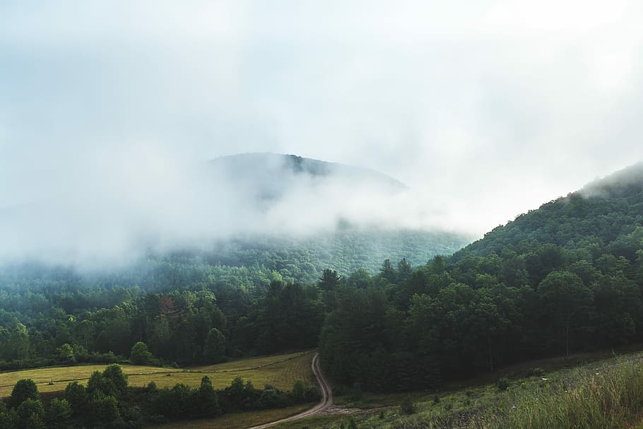 mountain haze, grøn, Skov, omgivet, tåge, Sky, vej, bane, bjerg, græs, træ, kanon, landskab, dis, morgen, sø, miljø, plante, scenics - natur, skønhed i naturen, ro, jord, sky - himmel, rolig scene, himmel, natur, ingen mennesker, ikke-urbane scene, grøn farve, dag, udendørs, smog, bjergtop, 4K