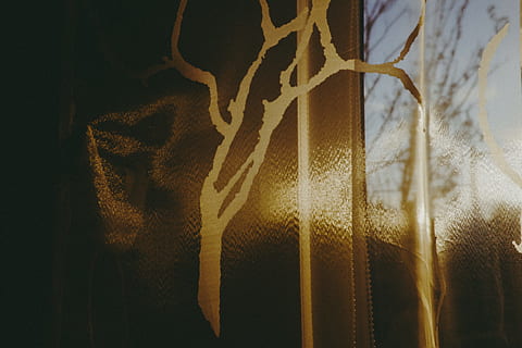 luce del mattino, le tende, mattina, luce del sole, astratto, natura, albero, sfondi, foresta, luce - fenomeno naturale, nessuno, all'aperto, notte, avvicinamento, illuminato, cielo, finestra, tessile, caratteristica della parete, tenda, ombra, in casa, giorno, trasparente, vetro - materiale, modello, animale, pianta, 4K, CC0, dominio pubblico, privo di copyright