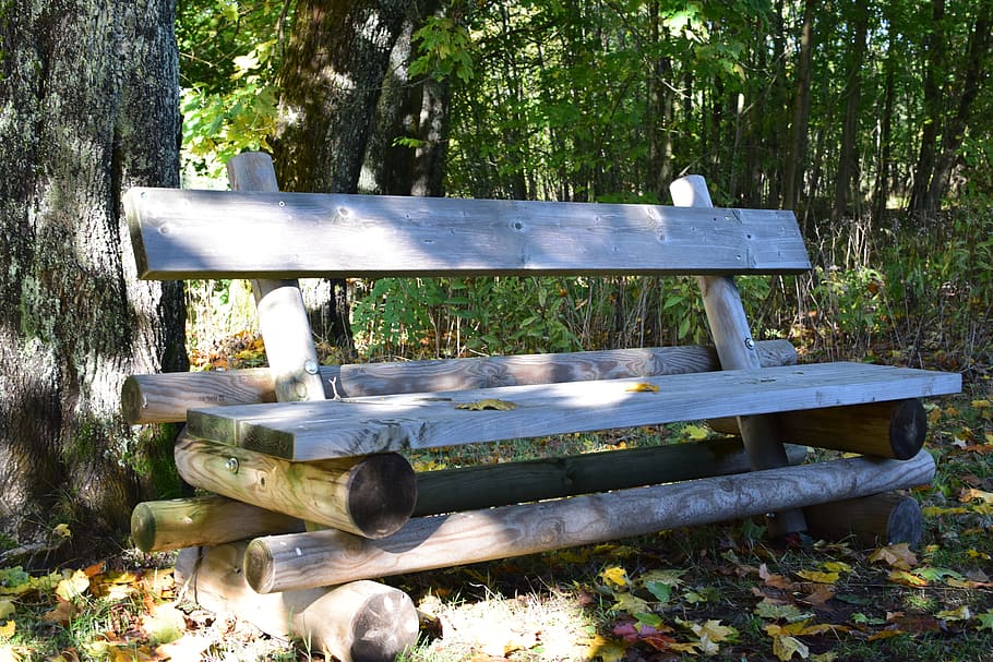 marró, fusta, banc, arbre, tija, bosc, herba, parc, seient, arbres, material de fusta, terra, naturalesa, planta, dia, buit, camp, cap gent, a l'aire lliure, llum solar, Banc del parc, parc - l'home va fer espai, absència, taula de pícnic, 5K