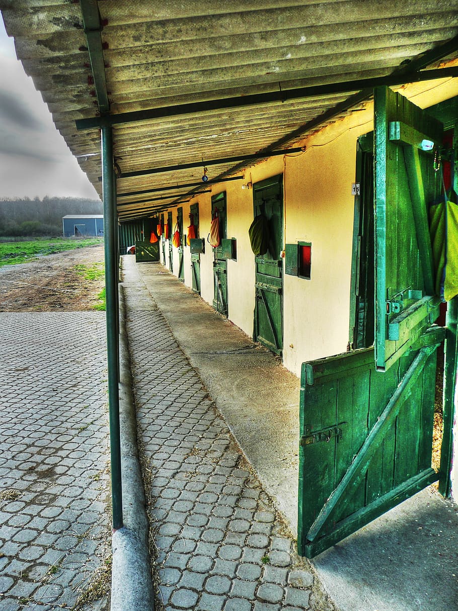 gall dindi, graner, ranxo, estable, granja, edifici, arquitectura, colors, colorit, fora, volada, encantador, tranquil, estructura construïda, dia, exterior de l'edifici, a l'aire lliure, cap gent, transport, en fila, columna arquitectònica, direcció, el camí a seguir, manera de transport, perspectiva decreixent, sendera, buit, naturalesa, vehicle terrestre, transport per ferrocarril, sostre, 5K