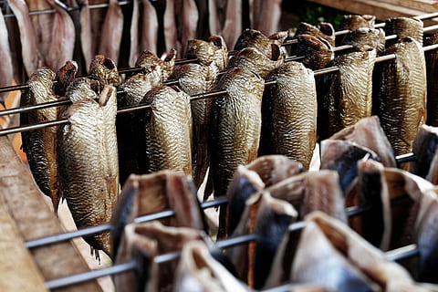foto, peixos en brocheta, sec, peix, prestatge, anguila, peix sec, penjant, menjar, menjar i beguda, mercat, frescor, venda al detall, gran grup d'objectes, cap gent, a la venda, primer pla, marró, abundància, natura morta, dia, contenidor, cistella, alimentació saludable, benestar, elecció, marisc, a l'aire lliure, venda, visualització al detall, 4K, CC0, domini públic, lliure de regalies