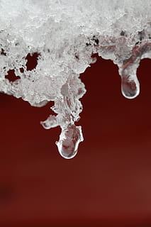 sne, is, vinter, vinterlige, dryppe, afrimning, kold, iset, Frosset, krystaller, isnende, angetaut, optøning, vand, dråbe vand, smelte, sne smelte, tæt, frost-, natur, filigran, rød, undervands-, væske, drikke, ingen mennesker, kolliderende, tæt på, studio skud, indendørs, hvid farve, bevægelse, kold temperatur, hvid, farvet baggrund, hav, fokus på forgrunden, renhed, 5K, CC0, offentligt domæne, royaltyfrie