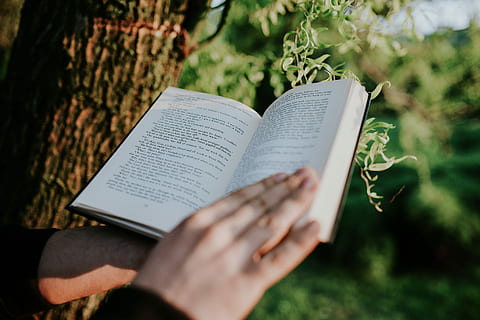 man reading, book, outdoors, Man, reading, hands, outdoor, outside, sunny, literature, bible, religion, christianity, spirituality, religious Text, nature, people, novel, learning, one Person, praying, education, holding, human hand, human body part, plant, communication, day, publication, hand, paper, real people, selective focus, open, close-up, tree, 5K