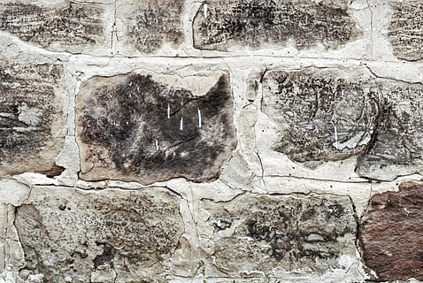 Backdrop, Wall, Brick, Stone, Brown, gray, grey, texture, rock, pattern, old, natural, material, solid, grunge, surface, horizontal, weathered, grungy, rough, exterior, aged, urban, mortar, mason, masonry, block, cracked, structure, architecture, building, background, backgrounds, wall - Building Feature, stone Material, textured, building Exterior, built Structure, architecture And Buildings, cement, abstract, dirty, construction Industry, full frame, history, art and craft, no people, ancient, craft, creativity, the past, representation, ancient civilization, carving - craft product, damaged, close-up, archaeology, outdoors, ruined, deterioration, stone wall, bas relief, 4K, CC0, public domain, royalty free