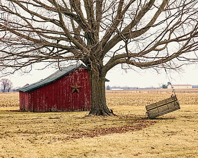 rød, træ-, skur, Brun, bladløse træ, lade, rustik, staldene, svinge, brudt sving, ohio, digital kunst, landdistrikterne, naturskøn, Land, landskabet, landskab, skure, gård, gårde, landbrug, landbrugs, stuehus, Champaign, region, americana, Foto, fotografi, struktur, strukturer, sturgell, william sturgell, bill sturgell, historisk, hjem indretning, bygninger, skyer, himmel, træ, træer, overskyet, ukrudt, champaign county, Urbana, bygget struktur, arkitektur, plante, jord, Mark, natur, bare træ, bygning udvendig, dag, ingen mennesker, landbrugsbygning, bygning, afdeling, hus, landlige scene, udendørs, sommerhus, kabine, 4K, CC0, offentligt domæne, royaltyfrie