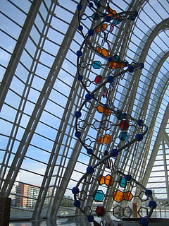 dna structure statue, inside, glass building, dna, structure, low angle view, architecture, day, built structure, no people, indoors, pattern, multi colored, amusement park, glass - material, arts culture and entertainment, nature, sky, ceiling, choice, grid, amusement park ride, hanging, 1080P, CC0, public domain, royalty free