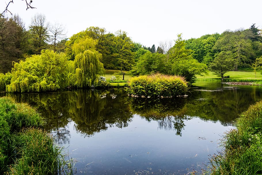 llac, aigua sense gas, reflexió, encara, aigua, paisatge, naturalesa, pacífica, calma, escènic, tranquil, a l'aire lliure, natural, serè, parc, Dinamarca, arbre, color verd, bosc, planta, bellesa a la natura, escenics - natura, tranquil·litat, escena tranquil·la, creixement, cel, cap gent, escena no urbana, dia, cel clar, terra, 5K