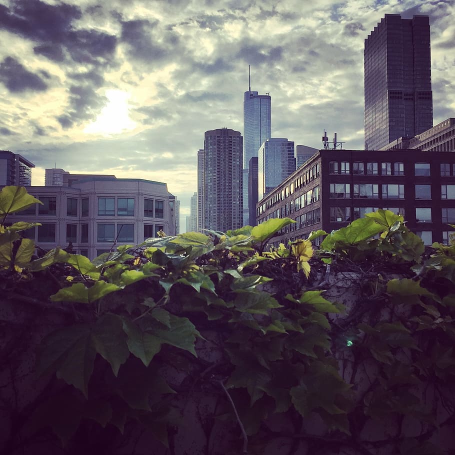 sole, nuvole, natura, tempo metereologico, estate, luce del sole, soleggiato, nuvoloso, cielo, giorno, blu, luce, ambiente, raggio di sole, Cloudscape, luminosa, architettura, esterno dell'edificio, grattacielo, struttura costruita, città, moderno, skyline urbano, foglia, nessuno, nuvola - cielo, costruzione, pianta, parte vegetale, crescita, edificio per uffici esterno, all'aperto, ufficio, alto - alto, distretto finanziario, 1080P