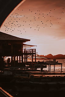 solnedgang, sol, himmel, landskab, strand, brasilien, Eventide, natur, horisont, eftermiddag, Mar, naturlig, mod lys, tid, Litoral, caçandomomentos, ocean, miljø, vand, stråler, lys, skyer, by, smuk, Sky, ved solnedgange, ro, beholder, rolige, båd, bjerg, sommer, scenarie, bybilledet, marinemaleri, kanon, bygget struktur, arkitektur, fugl, dyre temaer, dyr i naturen, gruppe af dyr, flyvende, dyr, stor gruppe dyr, hvirveldyr, dyreliv, flok af fugle, bygning udvendig, ingen mennesker, sky - himmel, udendørs, 1080P, CC0, offentligt domæne, royaltyfrie