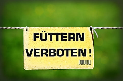 scut, Notă, interzice, semn, interzise, avertizare, panou, warnschild, prohibitiv, animal, a hrani, text, comunicare, western script, a închide, nici o persoana, semn de avertizare, Siguranță, să se concentreze asupra primelor elemente, agăţat, frânghie, galben, îndrumare, informație, natură, Culoarea verde, Securitate, zi, semn de informație, metal, mesaj, 4K, CC0, domeniu public, fără drepturi de autor