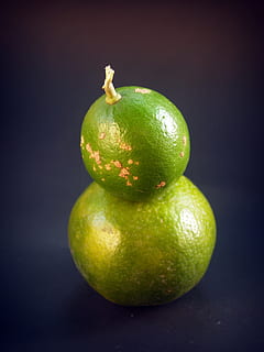 Citron, skive, grøn, hel, hvid, blad, citrus, frugt, tæt på, isolerede, moden, løv, ingen, tropisk, studie, fuld, halvt, afsnit, skære, plante, baggrund, afdeling, natur, mad, rå, sund kost, mad og drikke, friskhed, velvære, stilleben, grøn farve, studio skud, indendørs, sort baggrund, citrus frugt, ingen mennesker, enkelt objekt, skåret ud, æble, æble - frugt, to objekter, granny smith æble, orange, 2K, CC0, offentligt domæne, royaltyfrie