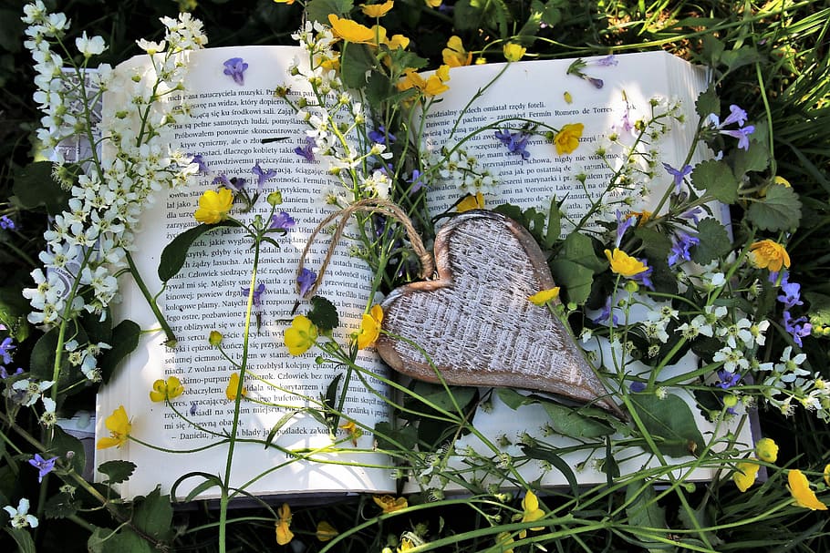 cor, penjant, decoració, envoltat, blanc, groc, flors, relaxació, primavera, lectura, paper, planta, a les ombres, naturalesa, estiu, full, florint, la frescor, a la cort de, floral, a, temporada, jardí, Ningú, primer pla, verd, per a tu, llegir, Quant a, gentilesa, el medi ambient, verdures, una planta de jardí, plantes, flors de jardí, la delicadesa, flor groga, flors tallades, amable, margarida, ram de flors, floració, descans, el silenci, flors diminutes, florent, gira-sol, flor de primavera, composició, flors petites, menor, florir, flor minúscula, prat, herba, flors silvestres, petit, flors de flors silvestres, flors grogues, planta de camp, no hi ha gent, natura morta, escriptori, hdr, planta amb flors, flor, creixement, bellesa a la natura, frescor, fragilitat, vulnerabilitat, part de la planta, cap gent, dia, a l'aire lliure, pètal, fauna animal, animals a la natura, cap de flor, animal, papallona - insecte, porpra, 5K