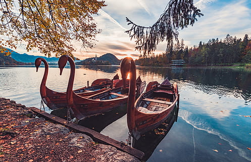 Marrone, di legno, barca, corpo, acqua, giorno, tre, attraccato, canoe, nave, nuvole, cielo, fiume, lago, cigno, alberi, blu, tramonto, sole, le foglie, autunno, nave nautica, riflessione, ormeggiato, natura, nessuno, albero, all'aperto, Paesaggi, mezzi di trasporto, modo di trasporto, nuvola - cielo, scenics - natura, la tranquillità, bellezza nella natura, spiaggia, pianta, scena tranquilla, barca a remi, 5K, CC0, dominio pubblico, privo di copyright