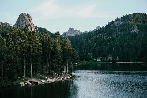 campament, al sud, dakota, muntanya, arbres, llac, muntanyes, bosc, paisatge, aigua, escenics - natura, bellesa a la natura, arbre, escena tranquil·la, planta, cel, tranquil·litat, escena no urbana, Serra, naturalesa, idíl·lic, dia, núvol - cel, cap gent, remot, formació, pi, arbre de coníferes, 5K, CC0, domini públic, lliure de regalies