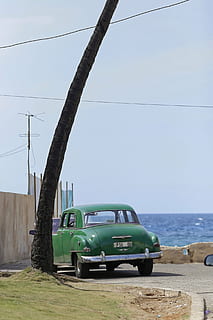cuba, Havana, oldtimer, palmell, Costa, miramar, verd, manera de transport, transport, cotxe, vehicle terrestre, cel, automòbil, dia, cable, naturalesa, mar, electricitat, carretera, cel clar, cap gent, línia elèctrica, terra, horitzó, llum solar, aigua, a l'aire lliure, Font d'alimentació, 2K, CC0, domini públic, lliure de regalies