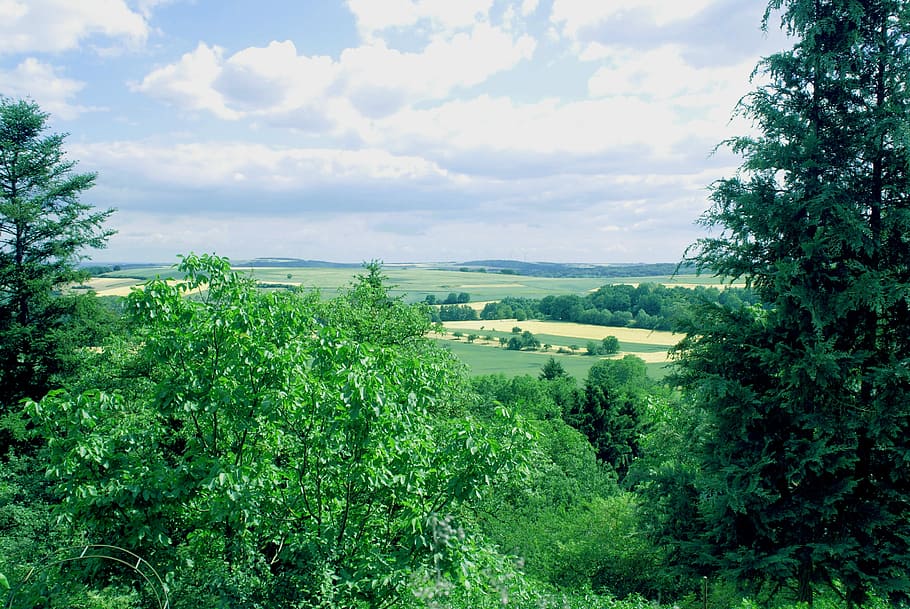 paisatge, eifel, naturalesa, arbres, verd, cel, maare, humor, senderisme, núvols, descans, recuperació, idil·li, ampli, mirant, estiu, silenciós, agricultura, camp, flora, vegetació, planta, arbre, color verd, creixement, núvol - cel, escenics - natura, bellesa a la natura, arquitectura, dia, tranquil·litat, estructura construïda, cap gent, terra, escena tranquil·la, a l'aire lliure, medi ambient, exterior de l'edifici, 2K