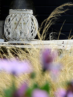 lanterna, lampada, deco, WindLight, decorazione, lume di candela, Gartendeko, lampada ad olio, erba, fiore, fiori, messa a fuoco selettiva, avvicinamento, nessuno, in casa, giorno, natura morta, palla, pianta, sfera, natura, contenitore, modello, campo, design, uovo, gruppo di oggetti, cibo e bevande, forma, 4K, CC0, dominio pubblico, privo di copyright