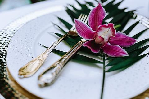 Colorful, Exotic, Flowers, Greenery, flora, leaf, leaves, tropical, multicolor, plate, flower, silverware, elegance, close-up, decoration, pink color, nature, no people, flowering plant, plant, freshness, petal, vulnerability, beauty in nature, fragility, inflorescence, flower head, growth, plant part, water, selective focus, outdoors, 4K, CC0, public domain, royalty free
