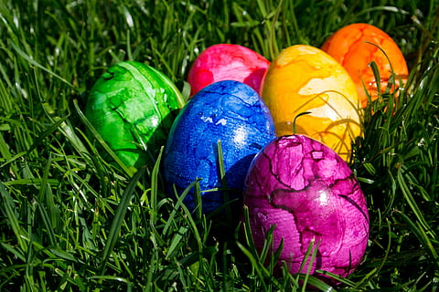 Ostereier, Ostern, bunt, Ei, Dekoration, Frohe Ostern, farbig, Osterei malen, Farbe, Frühling, Ostertradition, gemalt, Gras, Jahreszeit, Osterei, mehrfarbig, Kulturen, Eier, Urlaub, grüne Farbe, Feier, Lebensmittel, Pflanze, Ferienveranstaltung, Essen und Trinken, Nahansicht, Religion, Natur, keine Leute, Gruppe von Objekten, lebendige Farbe, draußen, lila, 4K, CC0, gemeinfrei, lizenzfrei