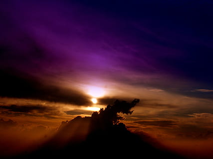 Schattenbildfoto, Baum, Nachtzeit, Himmel, Wolke, Sonnenuntergang, violett, wolke - himmel, Schönheit in der Natur, Szenen - Natur, Dramatischer Himmel, Ruhe, Umgebung, Natur, Scheu, ruhige Szene, Silhouette, Landschaft, Wolkengebilde, mehrfarbig, keine Leute, dunkel, Dämmerung, Nacht-, draußen, Helligkeit, lila, 2K, CC0, gemeinfrei, lizenzfrei