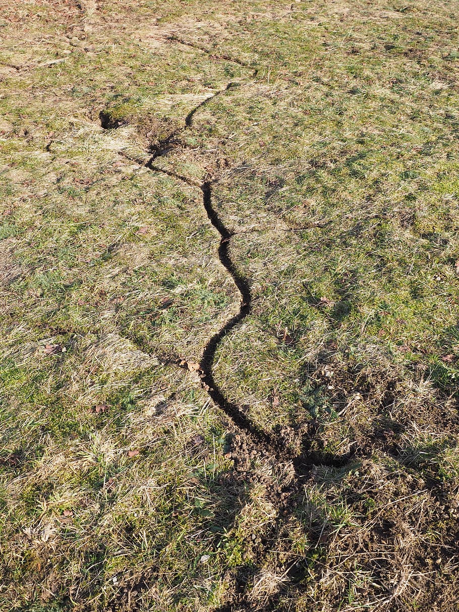 ratolí, velocitat, lluny, Camí, velocitat del ratolí, ruta del ratolí, mauspfad, prat, colla, forat del ratolí, naturalesa, vista d’angle alt, cap gent, dia, clima àrid, a l'aire lliure, planta, terra, camp, paisatge, medi ambient, color verd, creixement, escenics - natura, bellesa a la natura, tranquil·litat, herba, arbre, marc complet, llum solar, escena no urbana, 4K