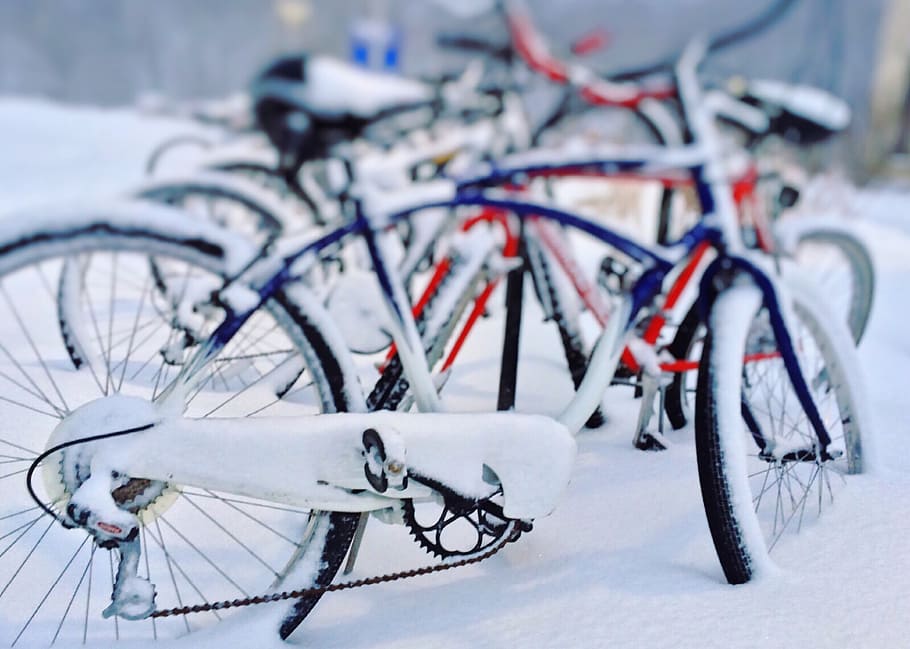 bicicletes, hivern, neu, fred, bicicleta, transport, temperatura de fred, vehicle terrestre, manera de transport, cap gent, estacionari, esport, Color blanc, roda, dia, centrar-se en primer pla, primer pla, naturalesa, manillar, ciclisme, a l'aire lliure, va parlar, 2K